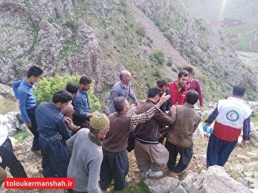 دعوا بر سر زمین ۱۰ نفر زخمی بر جا گذاشت