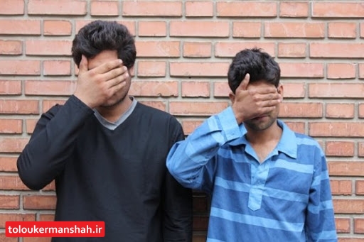 اعتماد به افراد غریبه برای زن میانسال دردسرساز شد