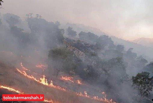 ۳۸۰ هکتار از مراتع بوزین و مره خیل طعمه حریق شد/یکی از نیروهای امدادی جان باخت