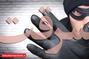 کشف ۵۳ فقره سرقت در کرمانشاه