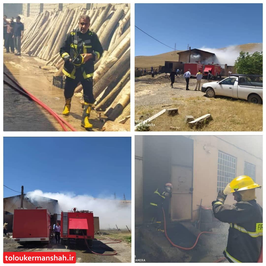 آتشسوزی گسترده کارگاه چوب در جاده بیستون