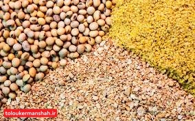 کشف ۵۷ تن خوراک دام احتکار شده در “اسلام آبادغرب”