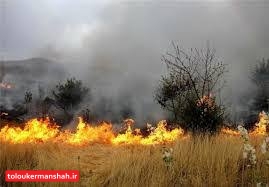 ۱۰هکتار از مراتع گیلانغرب در آتش سوخت