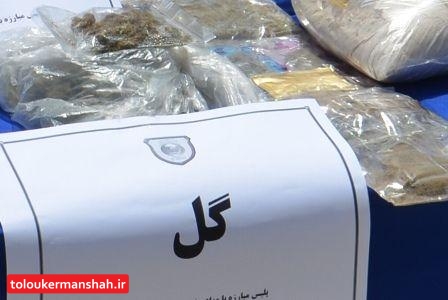 کشف ۱۷ کیلوگرم مواد مخدر در صحنه