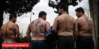 شکار عقاب های پایروند توسط پلیس کرمانشاه/ دستگیری هر ۴ عضو باند