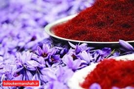 باید زعفران کرمانشاه را «برند» کنیم