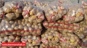 کشف ۱۰۰۰ تن سیب زمینی احتکاری در روانسر