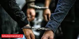 کشف ۹۴۲ فقره سرقت در کرمانشاه/دستگیری ۷۴ قاچاقچی