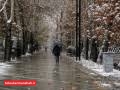 اسفند خوشبارش در راه است