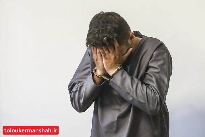 سارق خانه باغ های بیستون دستگیر شد