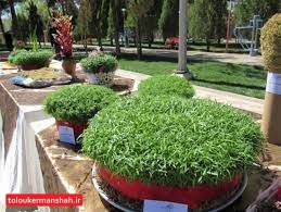 سبزههای عید را به شهرداری تحویل دهید/ تعطیلی تمامی پارکهای کرمانشاه در روز «طبعیت»
