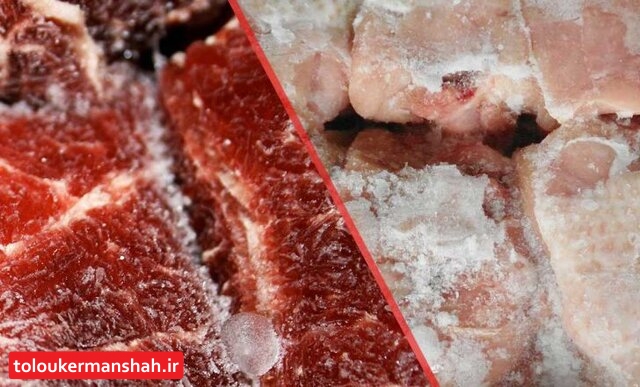 آغاز توزیع گوشت و مرغ منجمد با نرخ دولتی در کرمانشاه