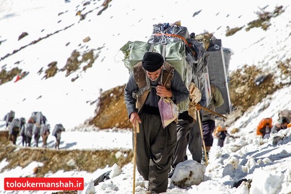 کولبری در ۲ مرز کرمانشاه فعال است