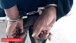 ۹۲ درصد مجرمان دستگیر شده در کرمانشاه بیکار هستند