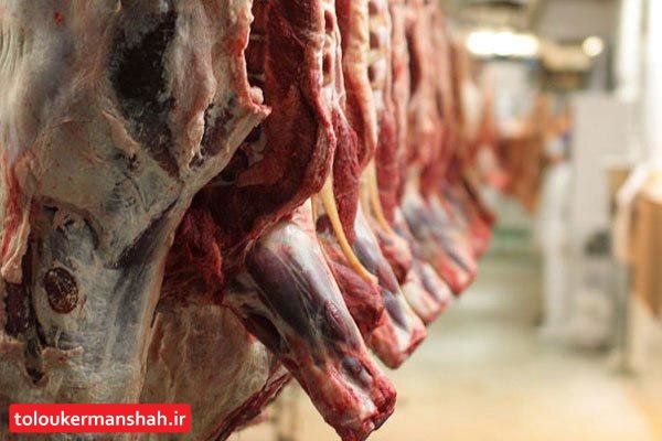 چرا گوشت گوسفند در قصابیها کمیاب است؟