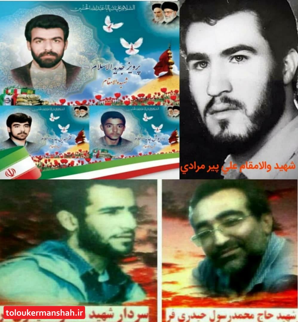 حمایت خانواده شهدا از مهندس بنفشه امامی نیا کاندید شورای شهر