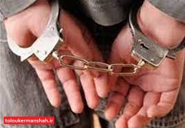 دستگیری راننده ای که زوج جوان کرمانشاهی را زیر گرفت