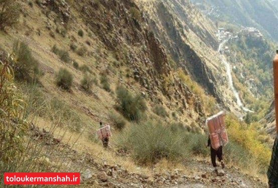 جان باختن کولبر جوان بر اثر سقوط از ارتفاعات نوسود
