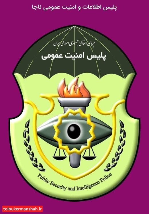 امکان ارتباط مردم با رییس پلیس امنیت عمومی ناجا فراهم شد