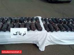  کشف ۲۳۲ کیلوگرم تریاک در “کرمانشاه”