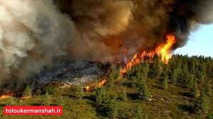 ۸ فقره آتش‌سوزی در تابستان ۱۴۰۰ در مراتع کرمانشاه رخ داده است