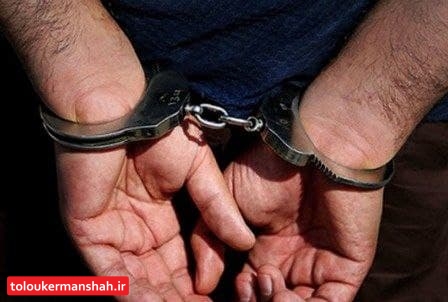 دستگیری سارق قاپ زن در کرمانشاه
