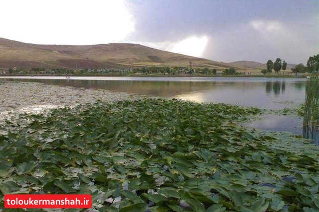 کاهش ۸۰ درصدی دبی “سراب نیلوفر” کرمانشاه