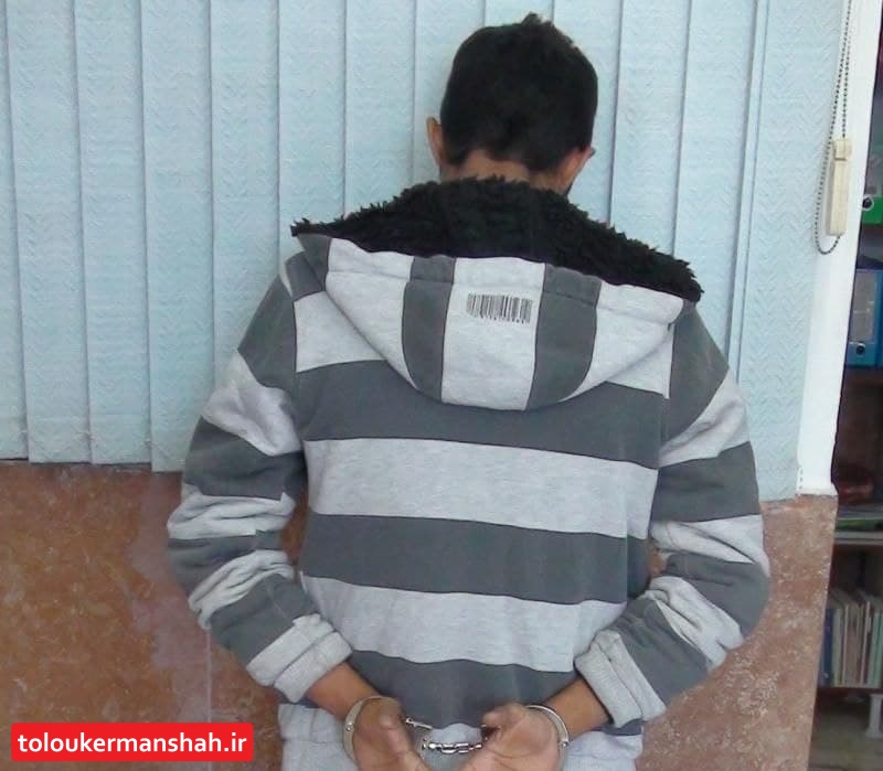 دستگیری کلاهبردار ارز دیجیتال در کرمانشاه