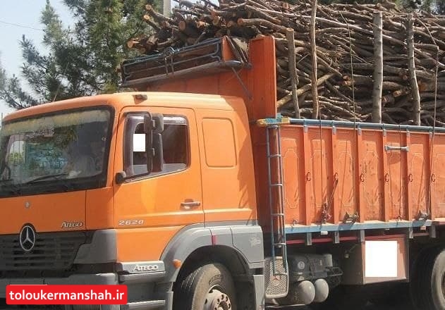 ۱۰ تن چوب قاچاق در جوانرود کشف شد