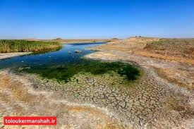بارندگی در کرمانشاه طی سال زراعی جاری ۱۳۳ میلیمتر افزایش یافت