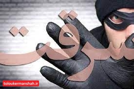 برخورد با سارقان در کرمانشاه وارد مرحله تازه ای شد/ پابند الکترونیک برپای سارقان حرفه ای