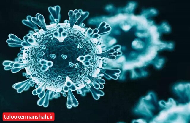 بستری ۵۲ بیمار کرونایی طی شبانه روز گذشته در کرمانشاه