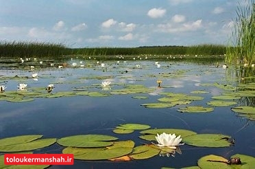 جوشش برخی چشمههای کرمانشاه بعد از ۲۰ سال