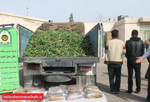 کشف ۳۰۰ کیلوگرم تریاک در”کرمانشاه”/ انهدام باند مواد مخدر توسط پلیس