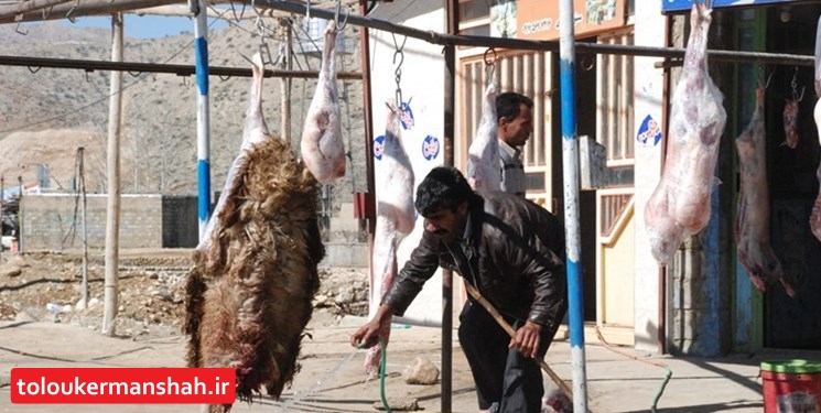 ۶ تُن فرآورده خام دامی غیربهداشتی در کرمانشاه جمعآوری شد