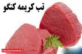 موردی از ابتلا به تب کریمه کنگو در کرمانشاه ثبت نشد