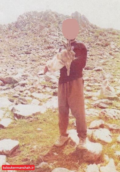 شناسایی عامل شکار غیرمجاز و انتشار تصاویر آن در فضای مجازی
