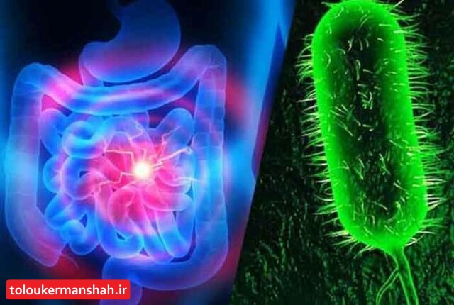 اسهال شدید مهمترین علامت بیماری وبا است