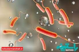 شمار مبتلایان به وبا در کرمانشاه به ۳ نفر رسید