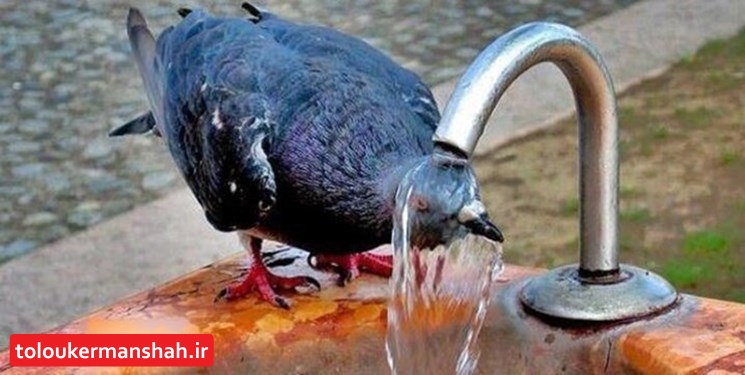 هفته گرم و خاکی در انتظار کرمانشاهیها/ دمای هوا به بیش از ۴۰ درجه میرسد
