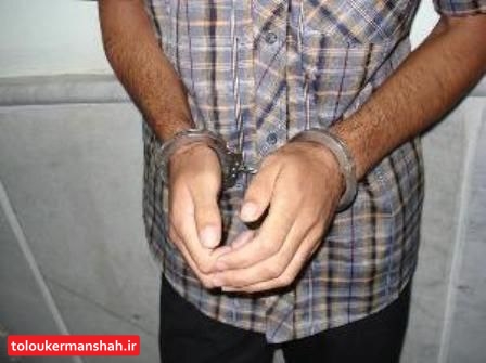 دستگیری عامل تیراندازی در بخش حمیل