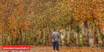پاییز خشک و بدون بارش/ این هفته هم پدیده جوی قابل توجهی در کرمانشاه روی نمیدهد