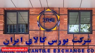 ترمز قیمت خودرو در بورس کالا کشیده شد