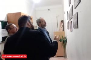بازدید مدیرکل مشارکت های اجتماعی جوانان از مرکز جمعیت افرای سبز