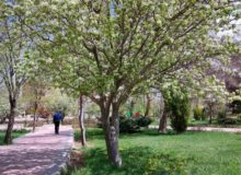 هوای پایدار در کرمانشاه ماندگار است/ افزایش تدریجی دما تا پایان هفته