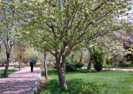 هوای پایدار در کرمانشاه ماندگار است/ افزایش تدریجی دما تا پایان هفته