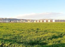 اختلاف دمای بهاری ۲۰ درجه‌ای ۲ نقطه کرمانشاه