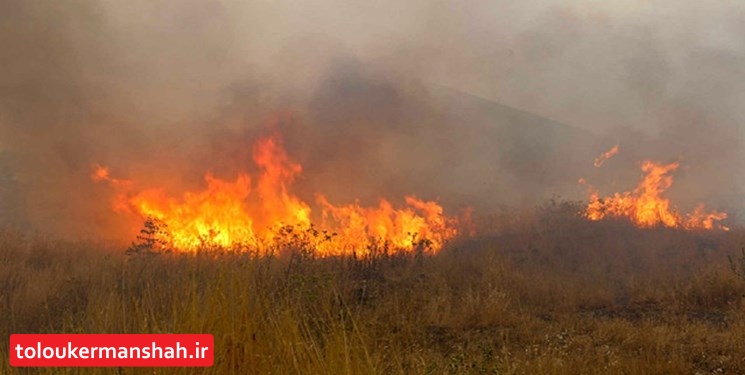 شناسایی ۲۵۵ نقطه بحرانی حریق در منابع طبیعی کرمانشاه