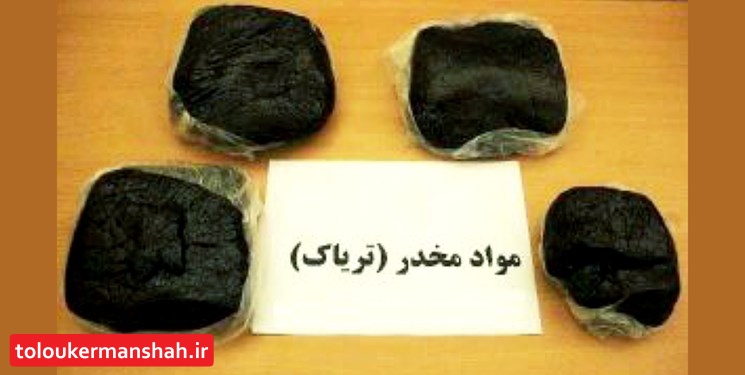 عملیات مشترک پلیس کرمانشاه و البرز/ بیش از ۳۳ کیلوگرم تریاک کشف شد