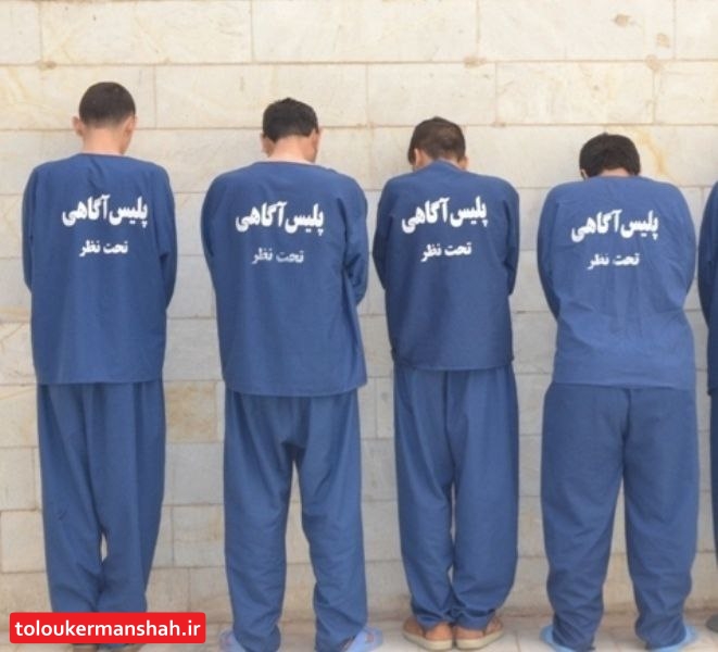 باند سارقان حرفه ای موتور سیکلت در کنگاور متلاشی شد